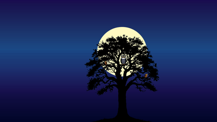 The Owl Tree