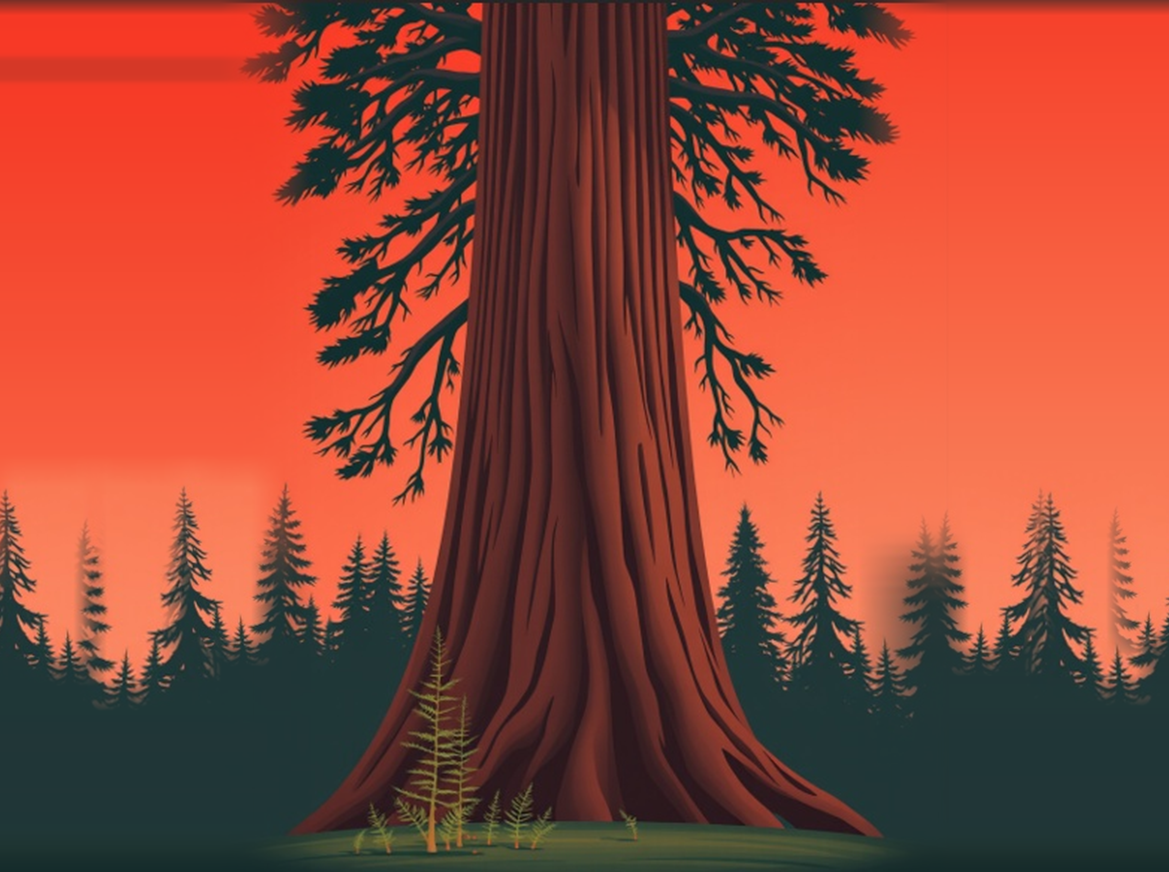 The Giant Redwood — illustration